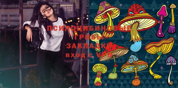 ПСИЛОЦИБИНОВЫЕ ГРИБЫ Покров