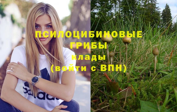 крисы Абинск