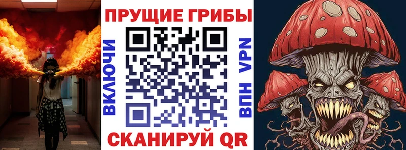 omg как зайти даркнет сайт Исилькуль мориарти телеграм Псилоцибиновые грибы мухоморы